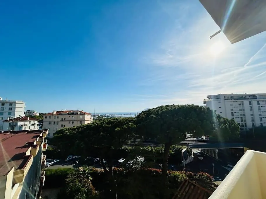 Cannes Appartement A 300 M Des Plages contacts